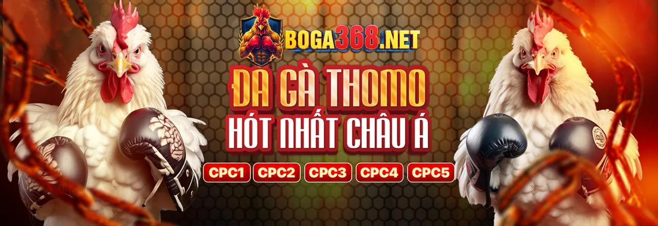 Đá gà trực tuyến vsbet nổ hũ